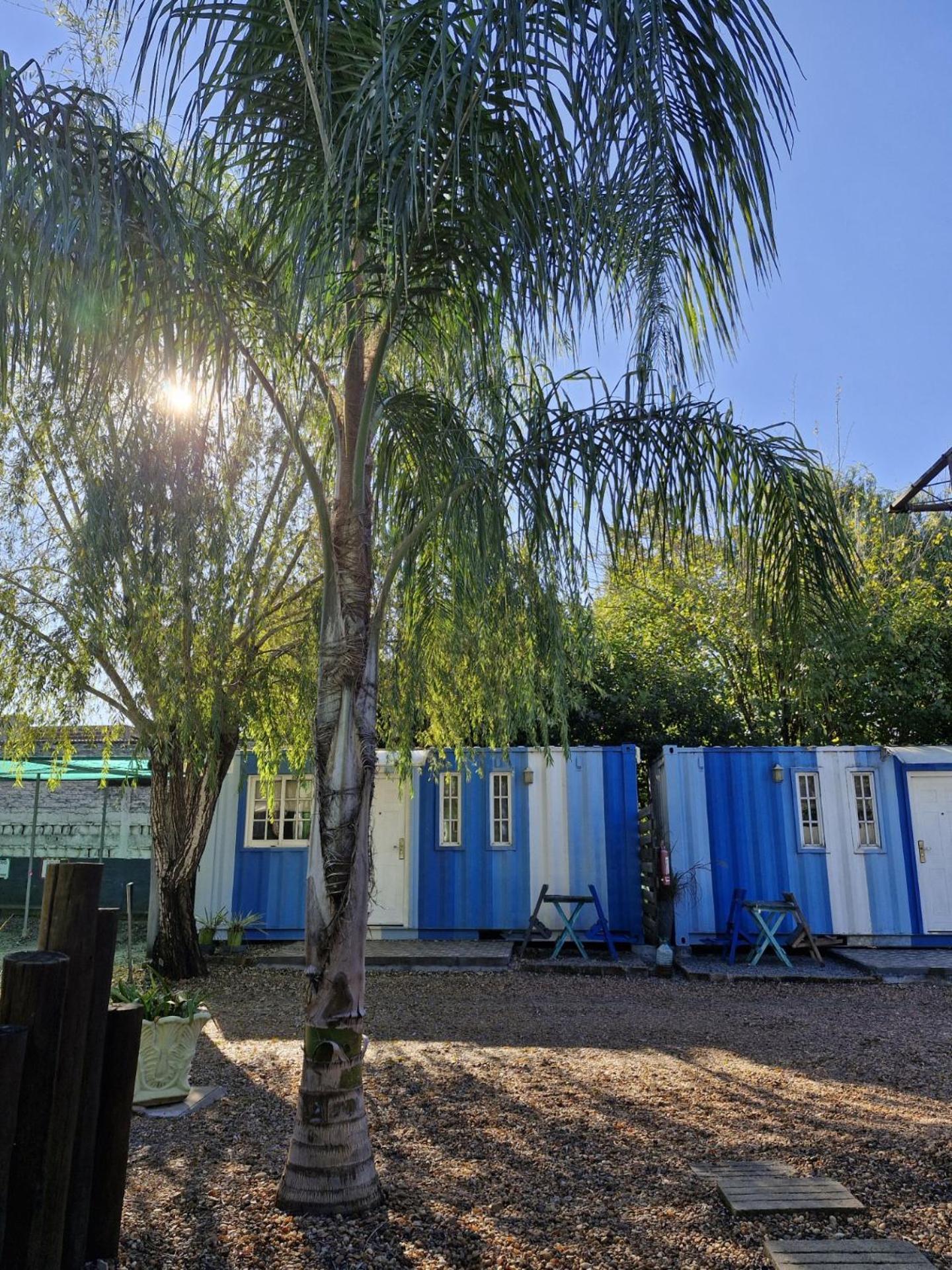 Squania Suite Container & Monoambientes Termas del Daymán Zewnętrze zdjęcie